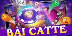 Hướng Dẫn Cách Chơi Catte Tại Nhà Cái CWIN Cho Các Tân Thủ